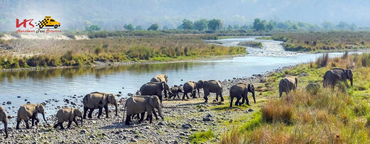 Jim Corbett National Park Tourism