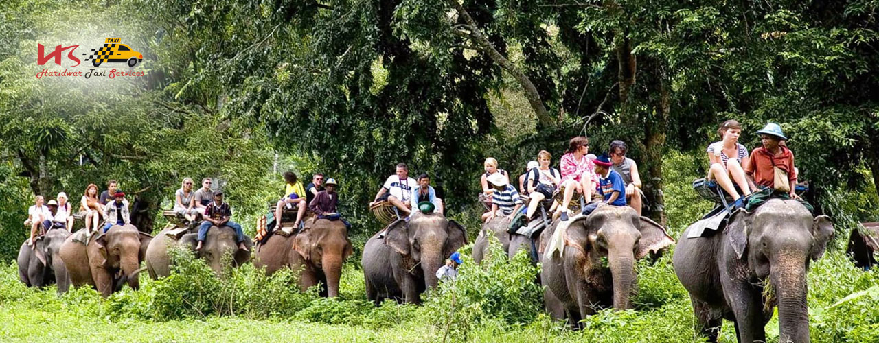 Jim Corbett Tour Packages